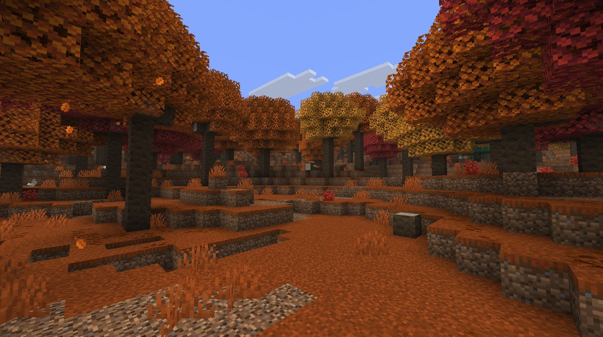 Autumnal Pioneer